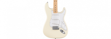 Fender Standard Stratocaster MN OWT