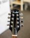 Fender FMO-66 oktaavi mandoliini (Käytetty)