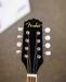 Fender Mandolin FM-52E (Käytetty) 