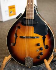 Fender Mandolin FM-52E (Käytetty) 