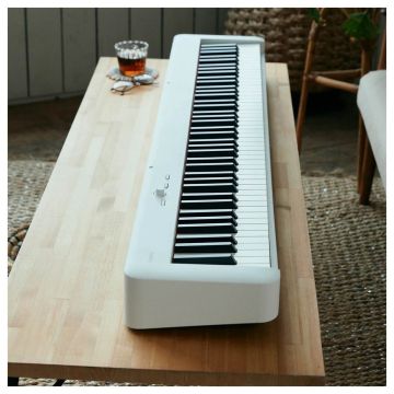 Casio CDP-S110