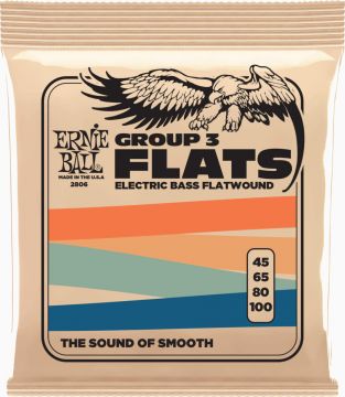 Ernie Ball 2806 Flatwound Stainless Steel Bass 45-100