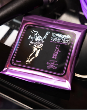 Ernie Ball 2200 Slash Signature Strings