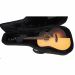 PULSE WGC3000 Western Guitar Hybrid Case