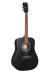 Cort AD810 BKS