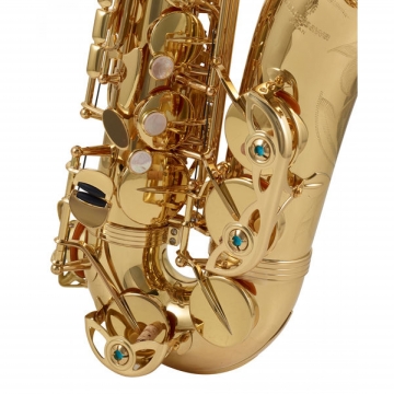 YANAGISAWA WO1 Professional Alttosaksofoni